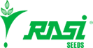 Rasi Seeds